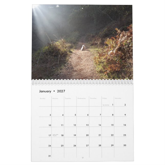 2019 calendário de Gwendolyn - meio (Jan 2027)