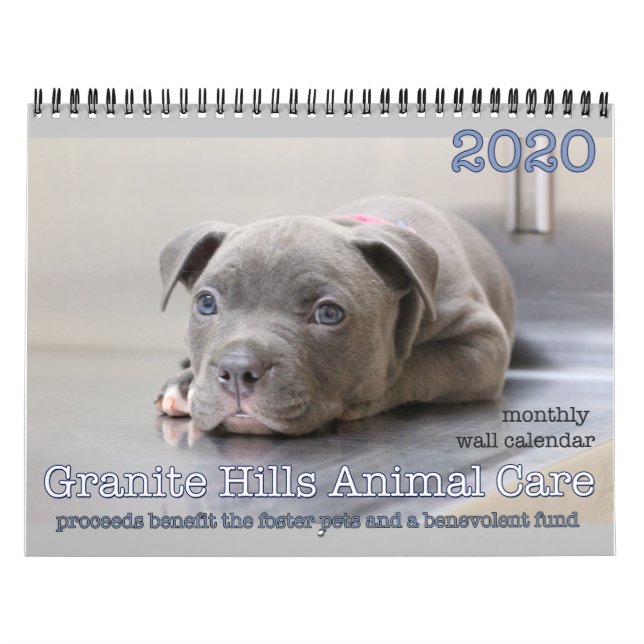 2020 Calendário do Muro de Cuidados Animais Granit (Capa)