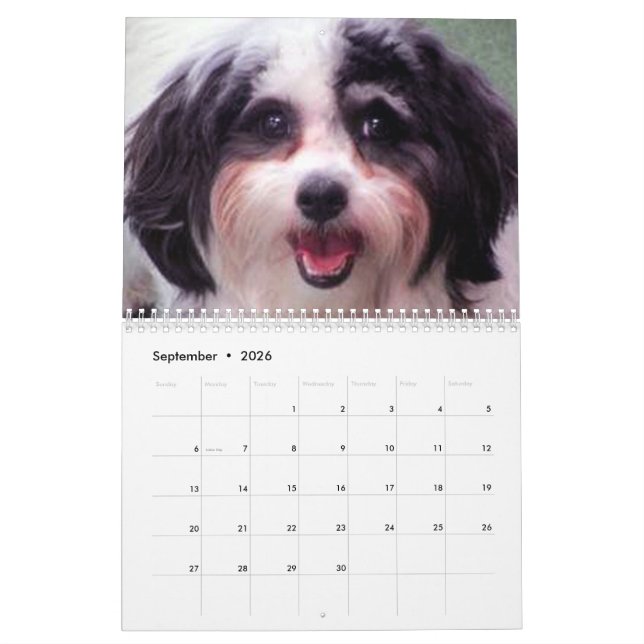 2020 calendários bonitos do cão de K-ECO Zuchon (Set 2026)