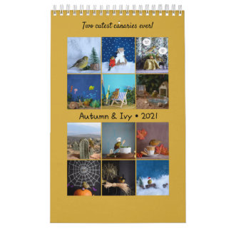 2021 Calendário das Aves Cachorras Canário