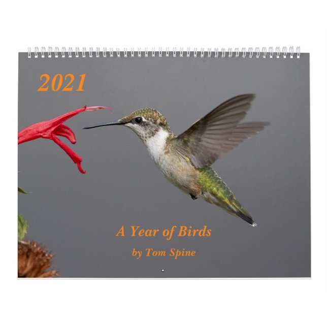 2021 ~ Calendário de um ano de aves (Capa)
