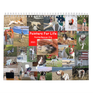 2021 Indicadores para Calendário de Vida do Point