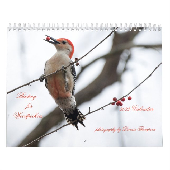 2022 Calendário de Aves para Pica-Pau (Capa)