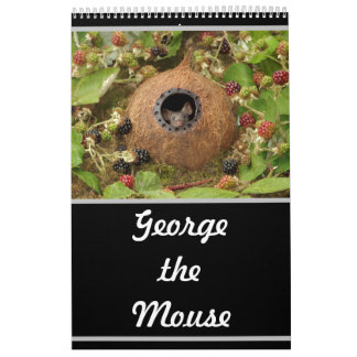 2022 George o calendário do rato 