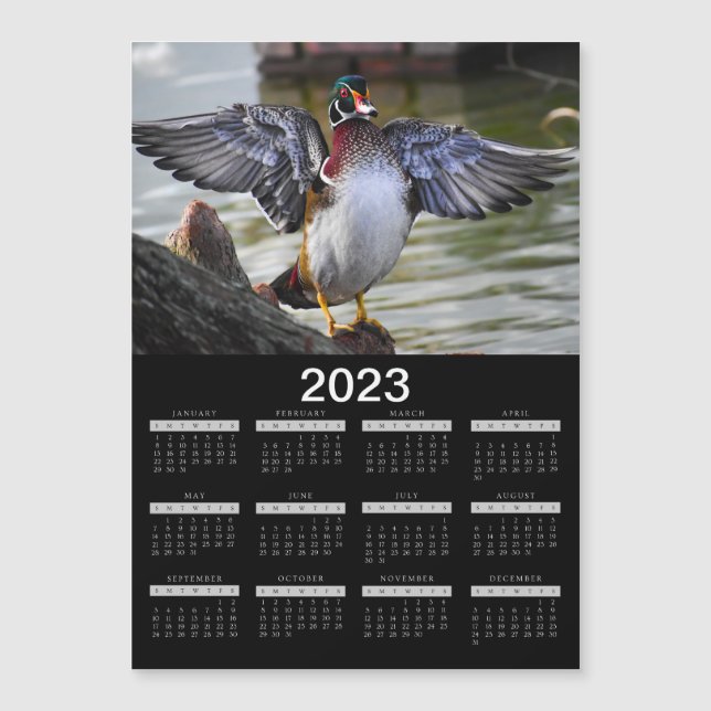 2023 Calendário do Magnet - Pato Lindo Madeira (Frente)