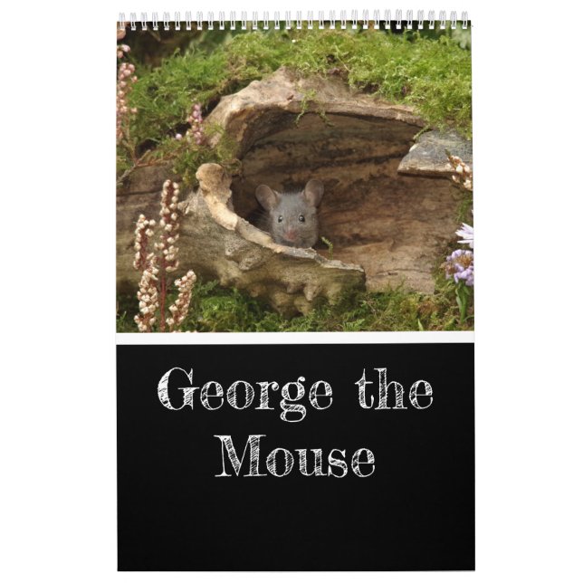 2023 George o mouse em um calendário de lojas (Capa)