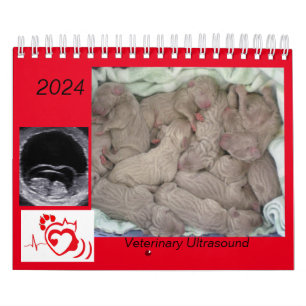 2024 Calendário Veterinário de Imagens de Ultrasso