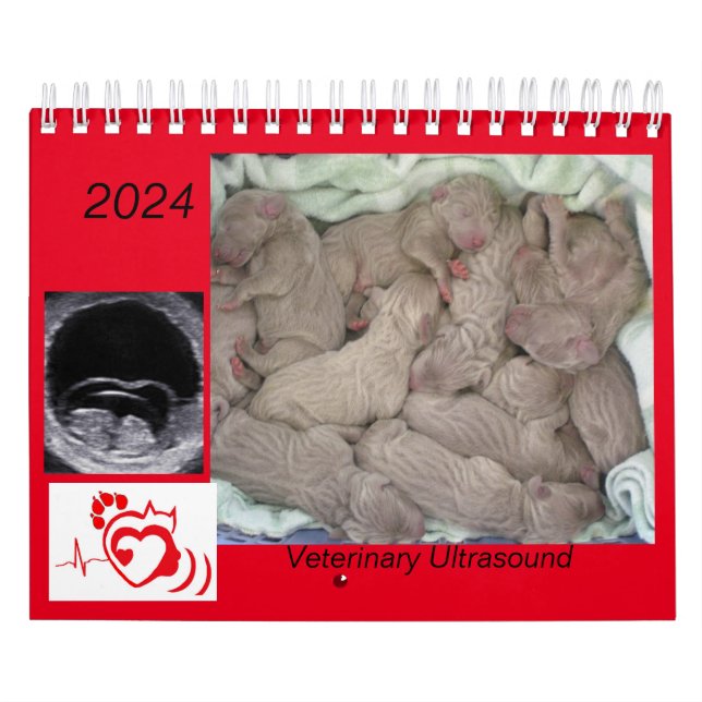2024 Calendário Veterinário de Imagens de Ultrasso (Capa)