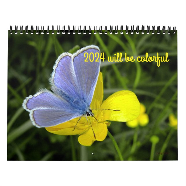 2024 será um calendário colorido (Capa)