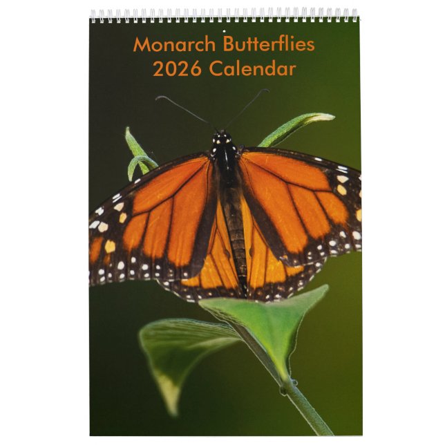 2025 Borboletas Monarch Calendário de Uma Página (Capa)