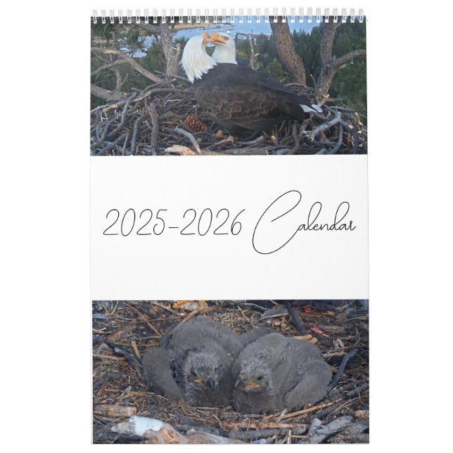 2025 Jackie & Shadow - Calendário das Águias Grand (Capa)