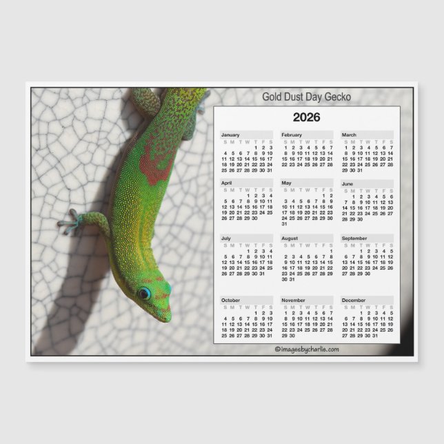2026 5x7 Magnet Calendar Gold Dust Day Gecko (Frente)