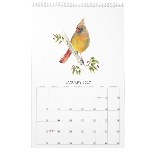 2026 Aves do Quintal no Calendário de Aquarelas (Jan 2027)