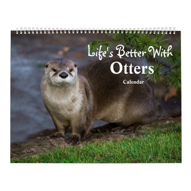2026 Otters Close - Calendário Com Curta Ocultação (Capa)