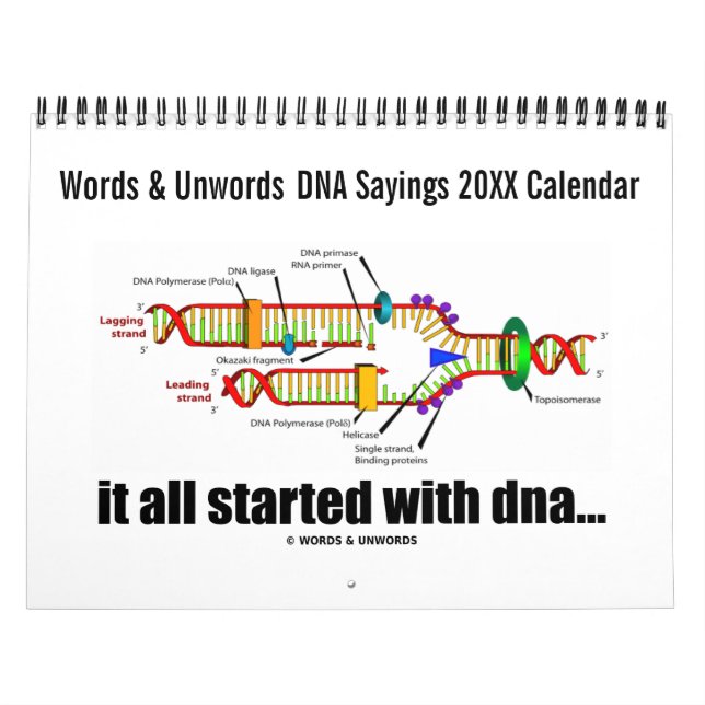 20XX Calendário de Ditos do DNA (Humor de Replicaç (Capa)