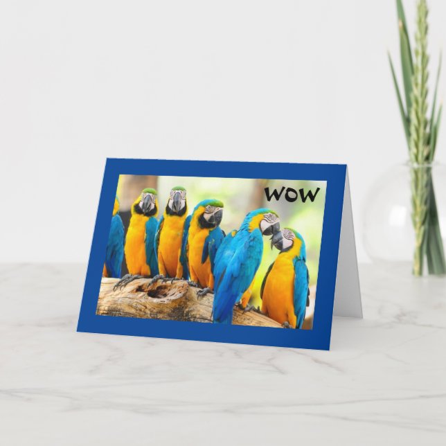 "21", QUE LEGAL! CARTÃO (Frente)