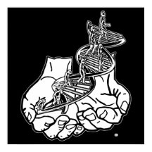 24" x 24", Poster de papel de valor (Matte) preto