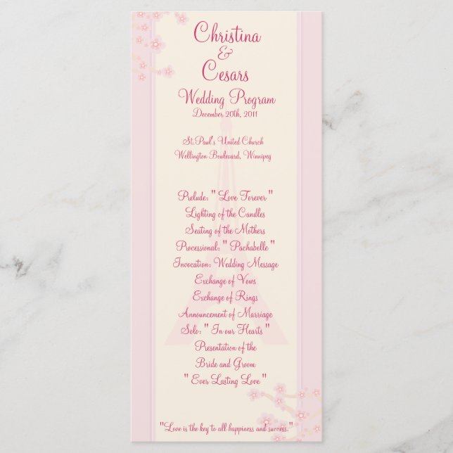 25 4 x 9 Almofadas do Programa Casamento em Paris (Frente)