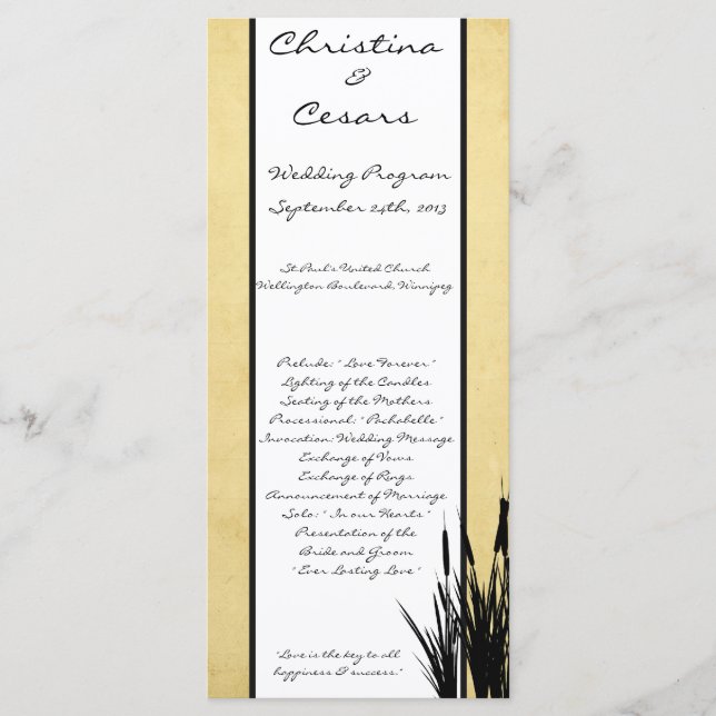 25 4x9 Programa Casamento Cattail/Dragonfly Silhou (Frente)