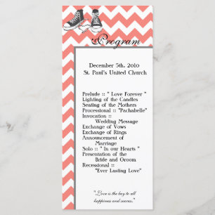 25 4x9 Programa Casamento Chevron Stripe Zig Zag P