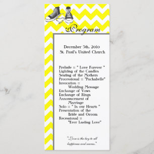 25 4x9 Programa Casamento Chevron Stripe Zig Zag P