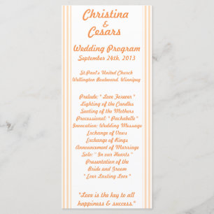 25 4x9 Programa de Casamento de Pássaros de Amor S