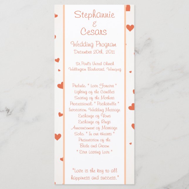 25 4x9 Programa de Casamento Pinguin Amor/Corações (Frente)