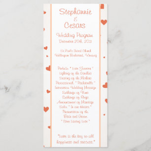 25 4x9 Programa de Casamento Pinguin Amor/Corações