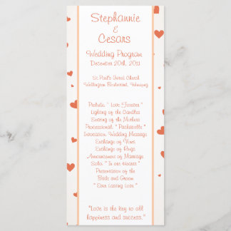 25 4x9 Programa de Casamento Pinguin Amor/Corações