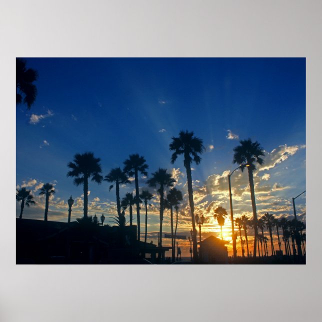 28 pol x 20 pol, Poster de valor (Matte) (Frente)