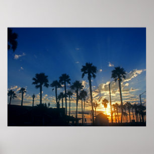 28" x 20", papel de poster do valor (Matte)