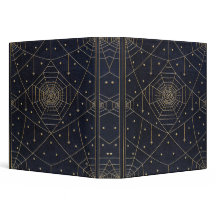 A seda da aranha de Falln Stars o livro