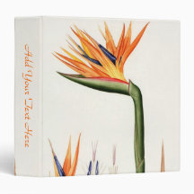 flores cor laranja,Pierre Joseph Redouté