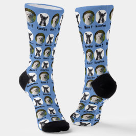 2 Cães 2 Nomes Personalizados Cães Foto Azul