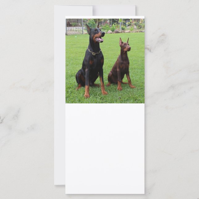 2 dobradiças (Frente)