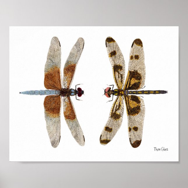 2 Dragonflies Art Poster (Frente)