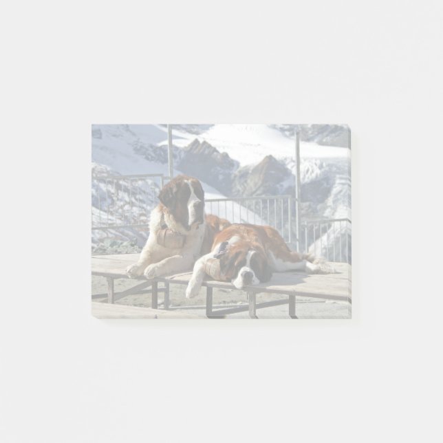 2 St-Bernard posando - Bloco de notas Post-it (Frente)