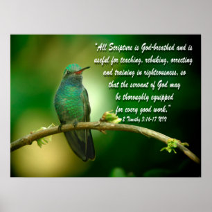 2 Timothy 3:16-17 Poster Cristão Hummingbird