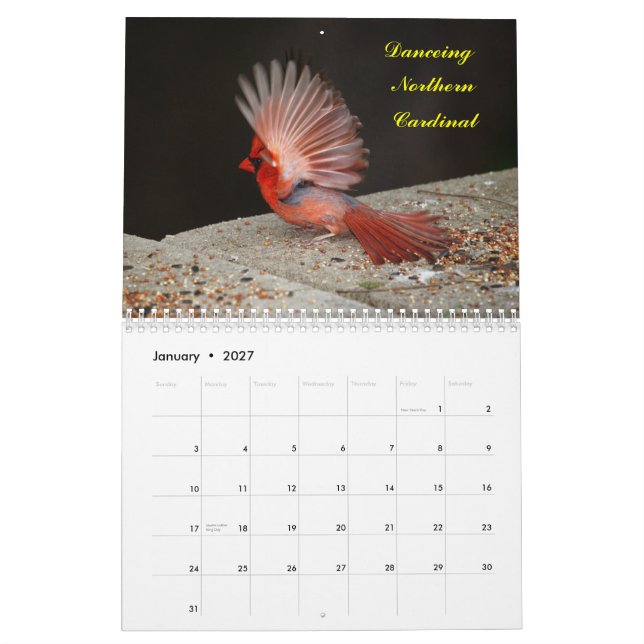 2yr. Pássaros deplicting do calendário que começam (Jan 2027)