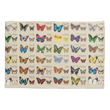 30 espécies da borboleta de todo o mundo (luz)