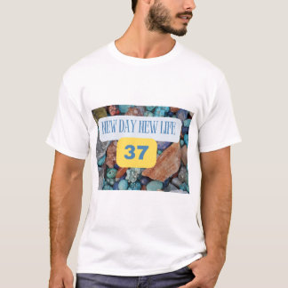37 camiseta numerológica