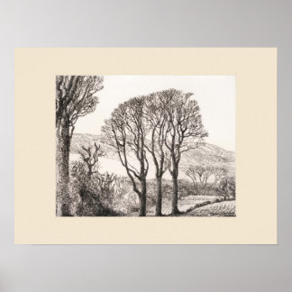 3 Árvores Impressão Cornwall, Eleanor M Hughes Re-