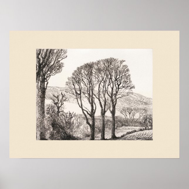 3 Árvores Impressão Cornwall, Eleanor M Hughes Re- (Frente)
