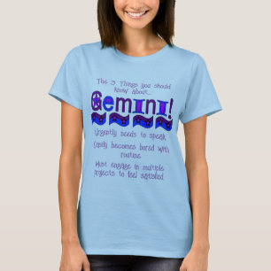 3 Coisas que você deveria saber sobre a Camisa Gem