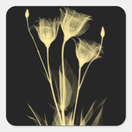 3 Flores de Raio-X Etiqueta de Vinho