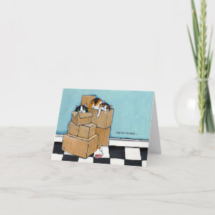 3 Gatos e Caixas Movimentamos o Cartão de Nota