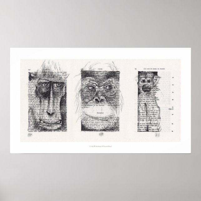 3 Macacos Sábios Chineses Ano Novo Poster (Frente)