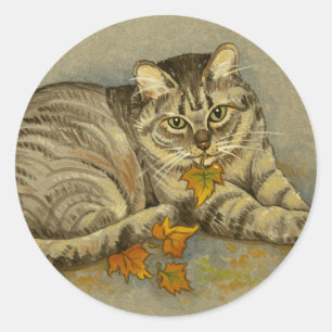 4872 Autocolantes para gatos