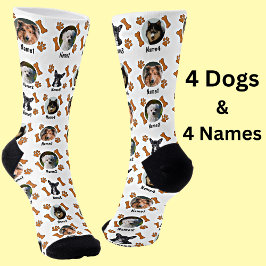 4 Fotos de Cachorro & 4 Nomes + Ossos e Patas Impr