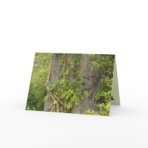 "4 nunca?" cartão de saudação BREAK-UP